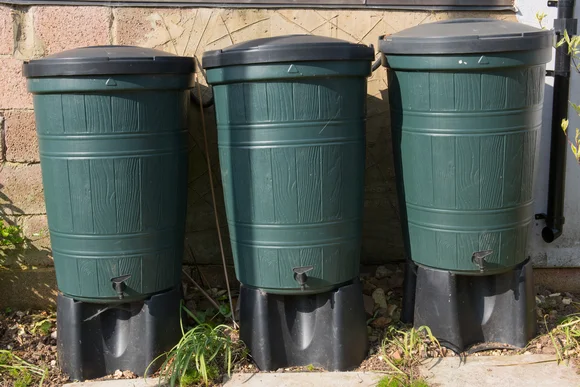 Drei grüne Regentonnen stehen nebeneinander an einer Hauswand.